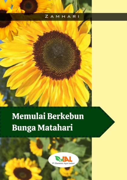 Memulai Berkebun Bunga Matahari